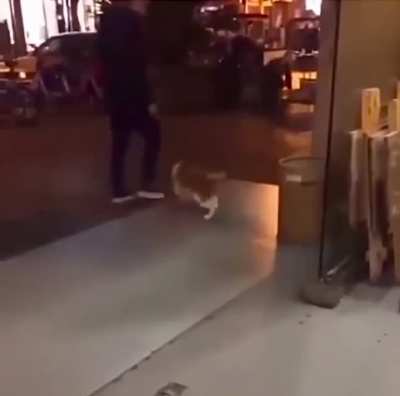 Moonwalk