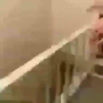 Macaco vai cai
