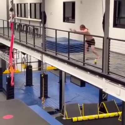 Credit to u/tinytyler12345 for the original video.