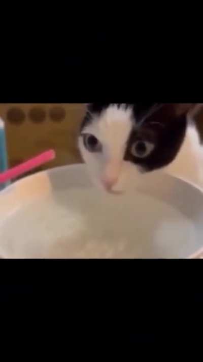Lick