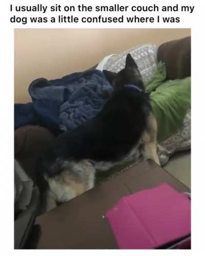 woof irl
