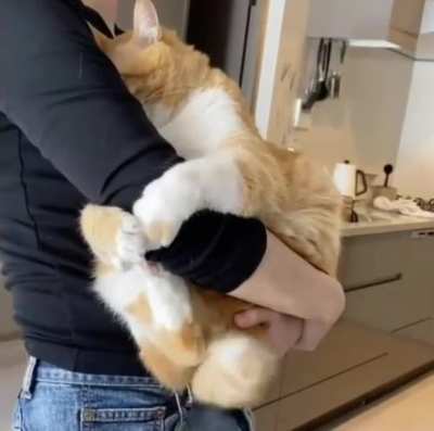 Snuggle baby