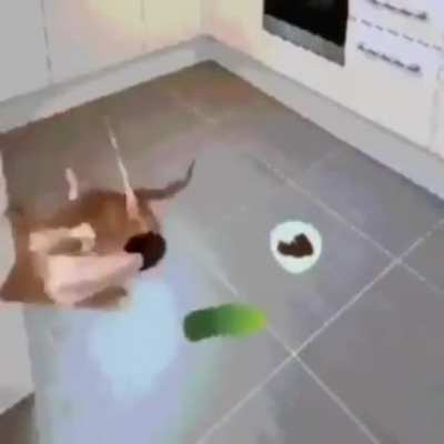 Oooooooh