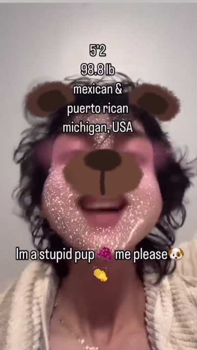 Who let the dog out