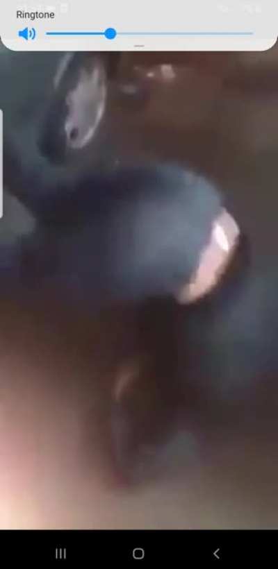 my favourite video ever
