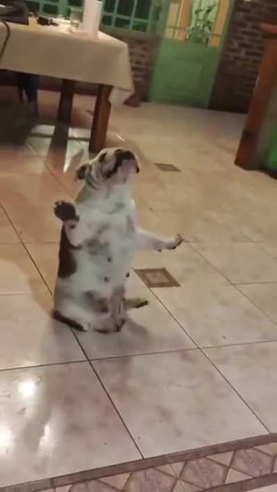 them moves