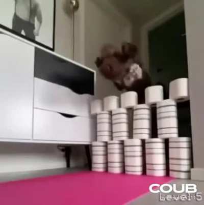 Wow that's really high