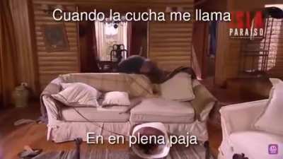 Súper yo 👉👈😳