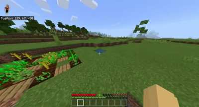 I accidentally walked in on an ancient sheep ritual.