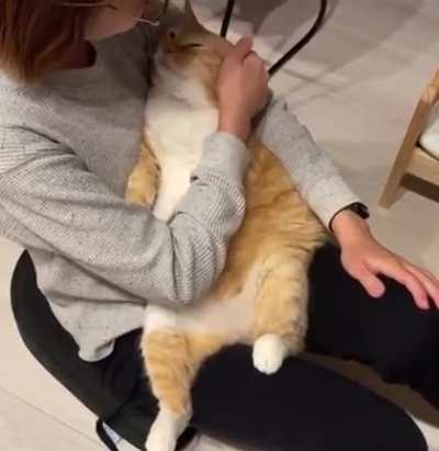 Meow 💞
