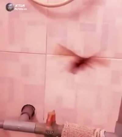Nem o mais macho do mundo nao tem medo da barata voadora