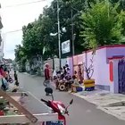 This monkey got some serious riding skills