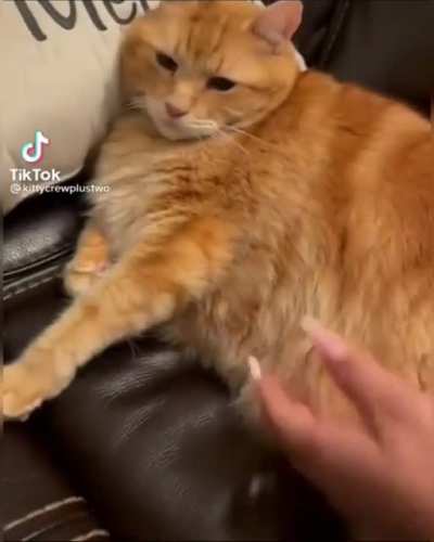 aAAaaAaaAAAAaaaaA