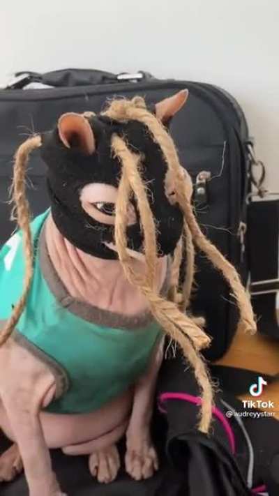 Bingus Taylor