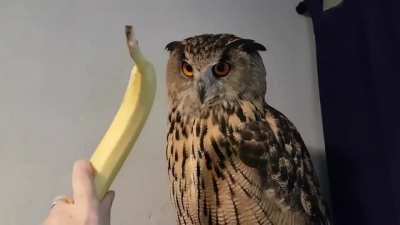 banan