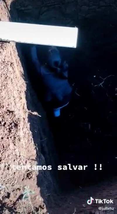 Wait for it