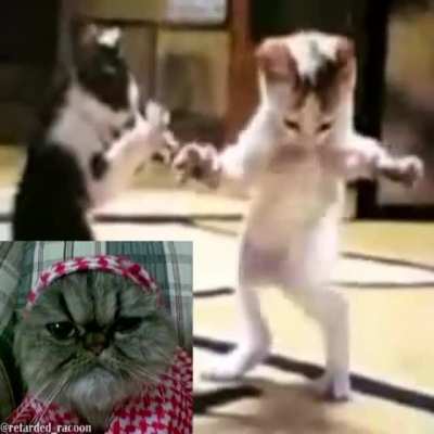 Arabic Fart Sex!! (أكره السود المعر<wbr>وفين أيضًا بالزن<wbr>وج(😱😱<wbr>😱))