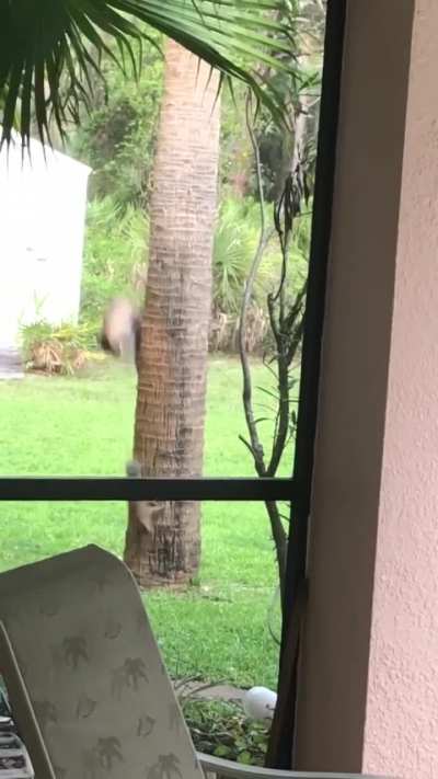 Maybe maybe maybe