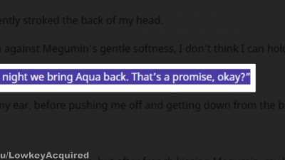 I'm sorry megumin, but you brought this on yourself [Volume17 Afterwards]