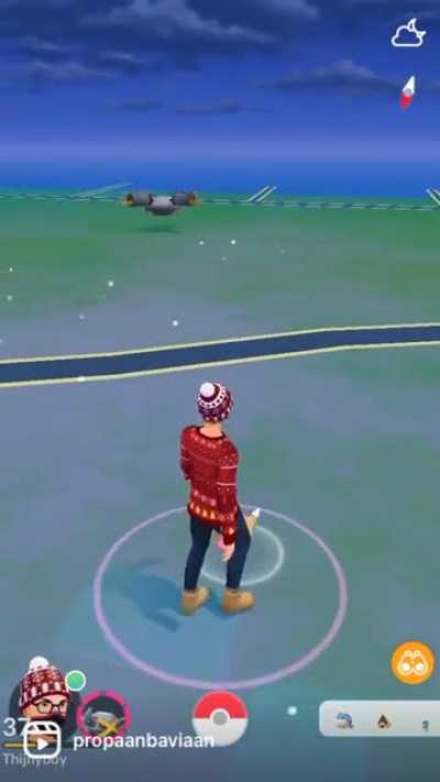 What is wrong with my metagross?
