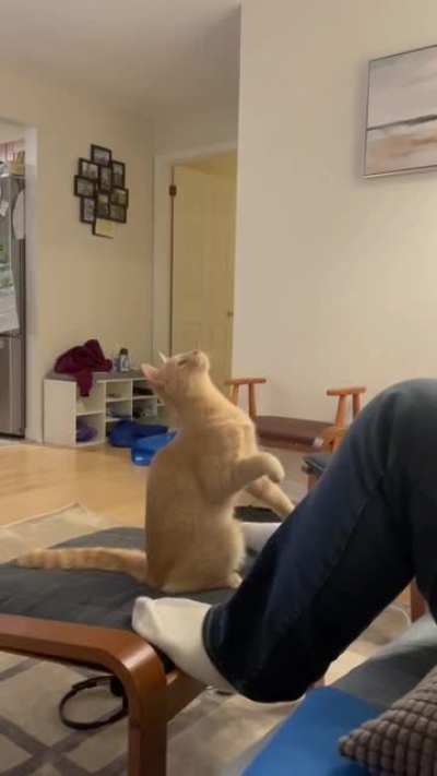 Wait for it...