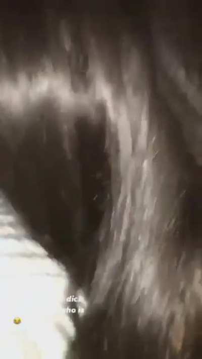 Lol