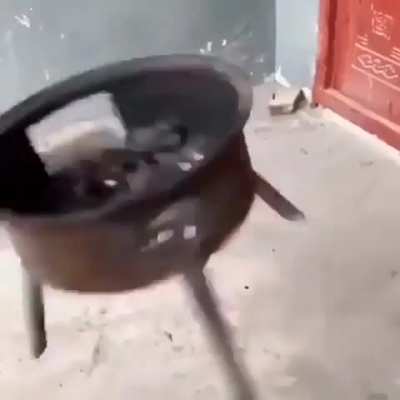 cool recipe I found