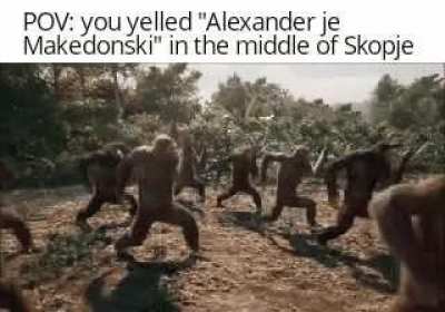 happy monke 🦍