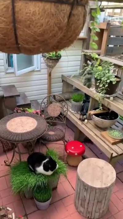 Gardeners