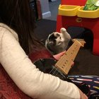 Die evil guitar!!