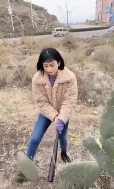'I'm so bad, I'm gonna damage a plant for absolutely no reason'