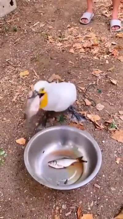 OMG whoa! 🤣🤣