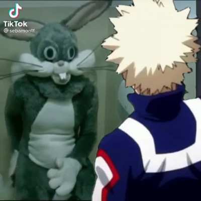 🐰🐰