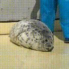 Accurate representation of productivity lately