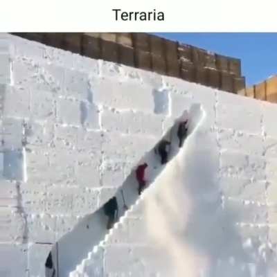 Terraria