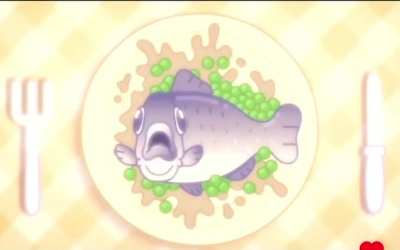 herring surprise 