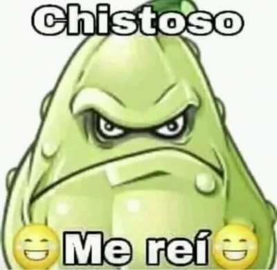 Me reí my king xdd