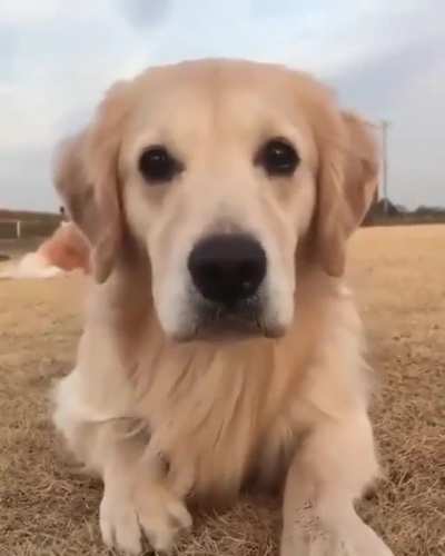 Just passing by to say Hello