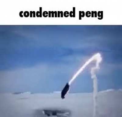 That [fluff]ing penguin missile...