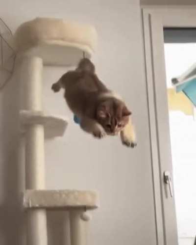 He jumping