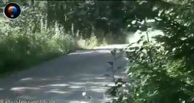 These Rally Drivers