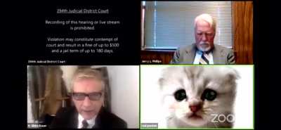 Texas Lawyer can't turn off Cat Filter, feels he has to explain: 