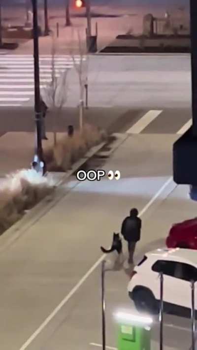 Someone captured some dog owners in a fight in the street but then they make up pretty quickly thanks partially to their dogs