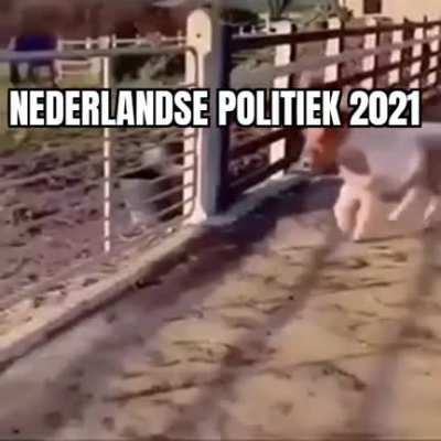 🐎