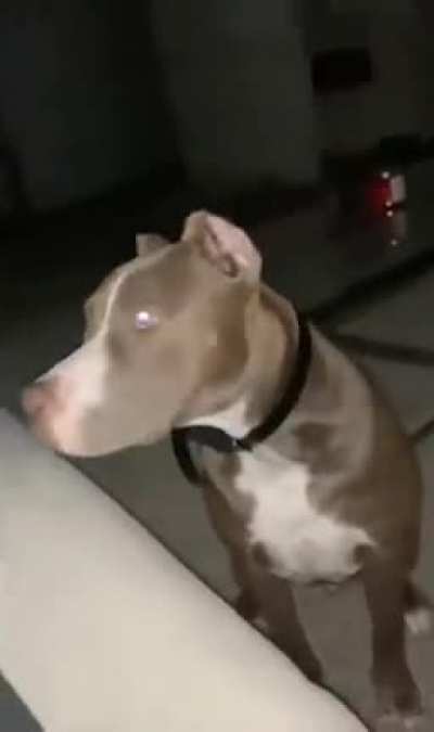 He thought about it for a second