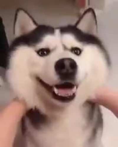 Vamos fazer uma homenagem ao savevideo dando o máximo de upvotes no comentário dele que está logo abaixo (n precisa da upvote no meu post)