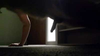[M] Nude push-ups in the office. How's my form?
