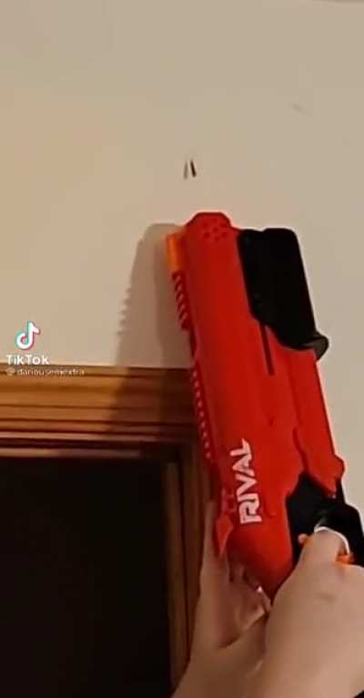 Shooty