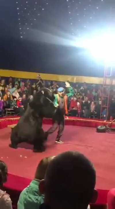 should i go again to circus?