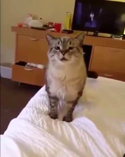 What a sneeze
